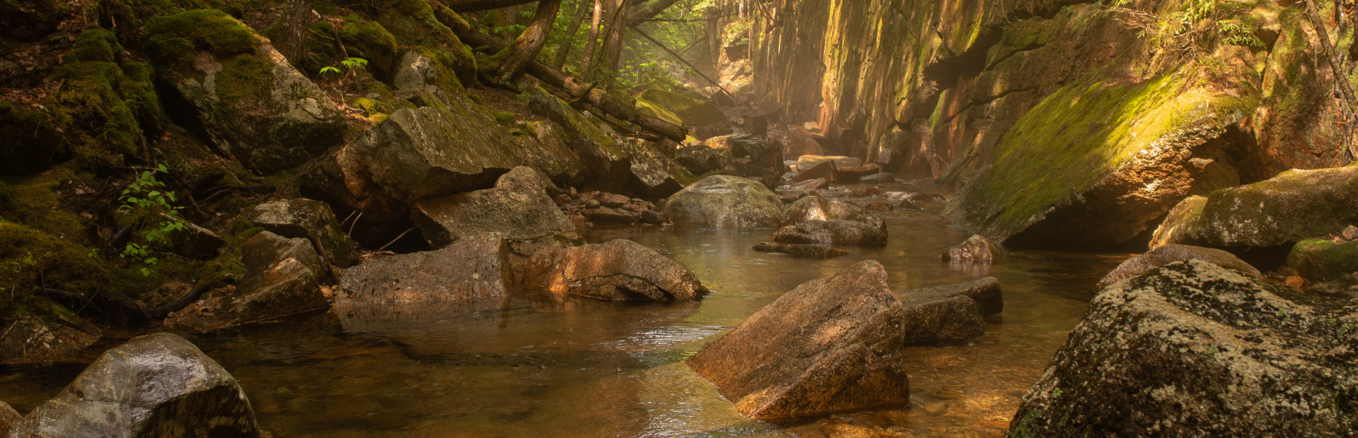 Get Lost In Nature With Luke