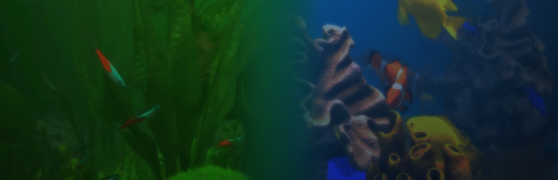 Behind Glass: Aquarium Simulator