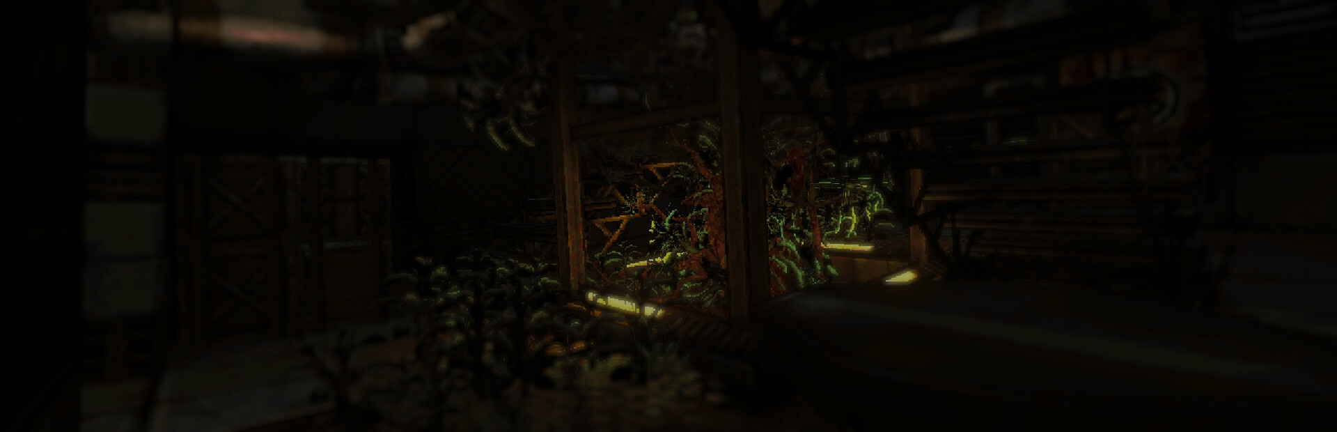 Fortune's Run