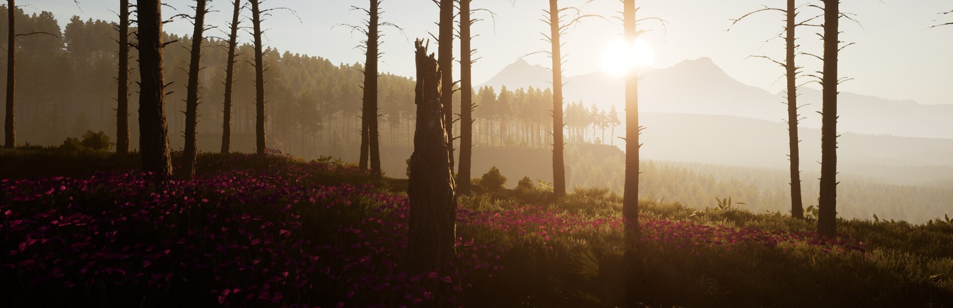 Dead District: Survival