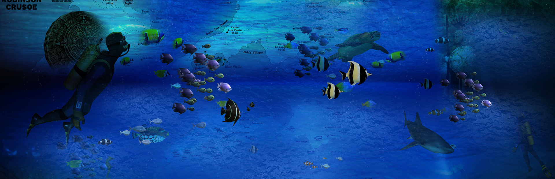 Reef Shot