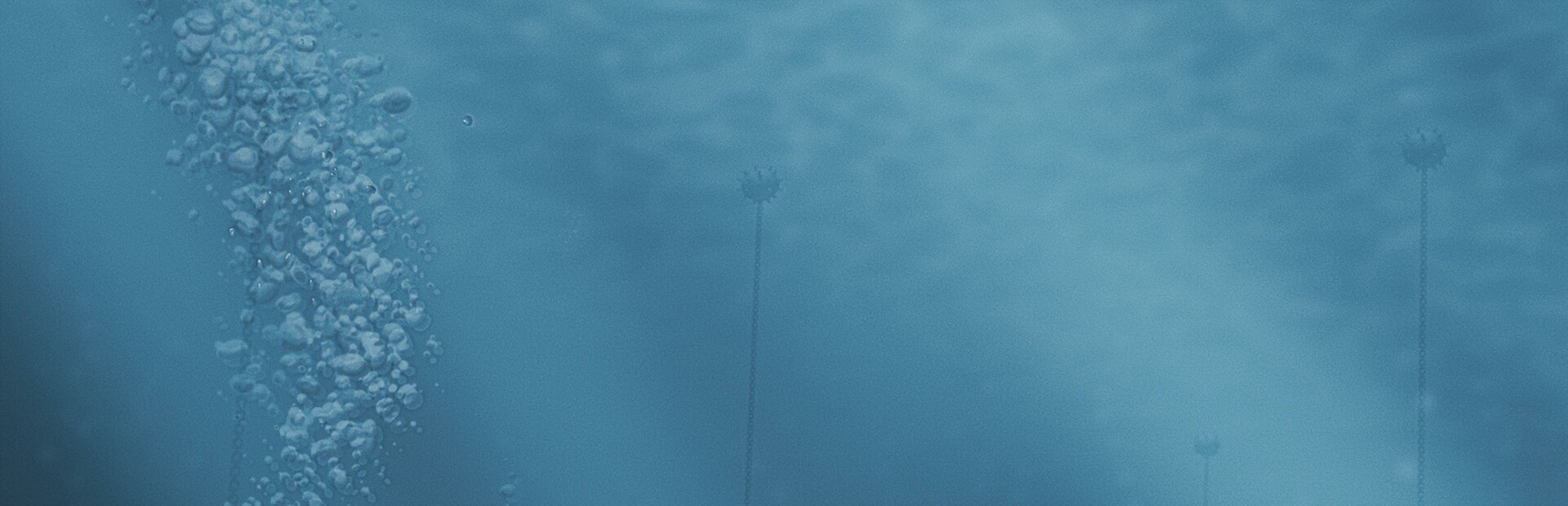 Aquatico