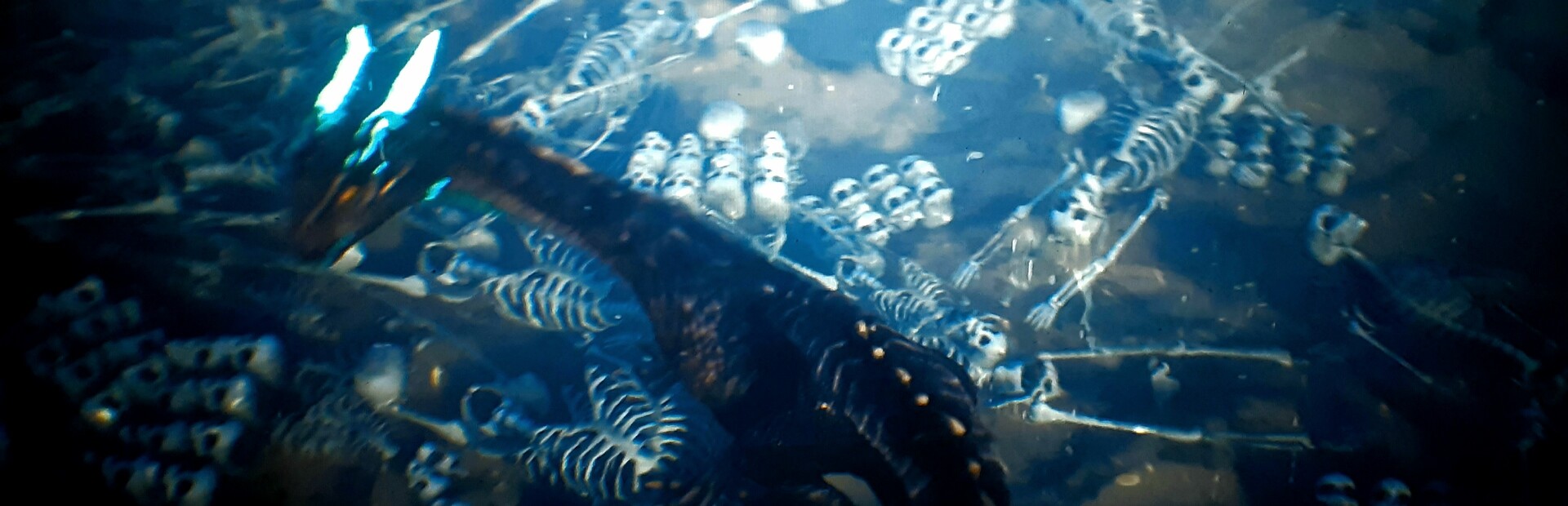 Tahoe Dragon: The Beginning updated 2023