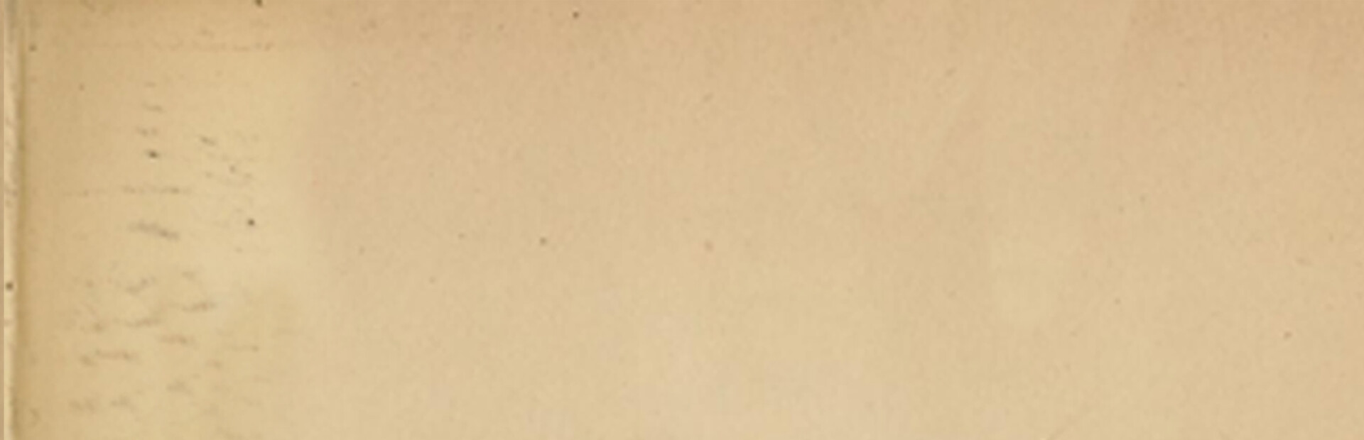 The Thief, the Witch, the Toad, and the Mushroom.