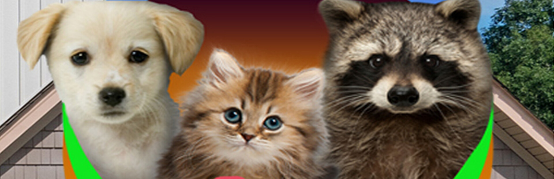 My Lovely Pets Collector's Edition