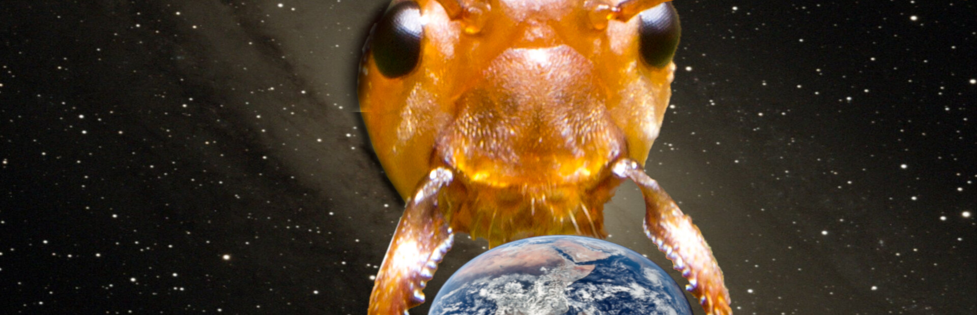 2023: Alien Bugs Invade Earth