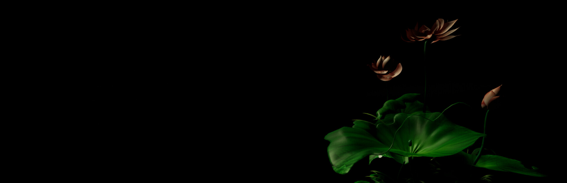 斩毒：罪与罚（Narcotics Police:Crime And Punish)