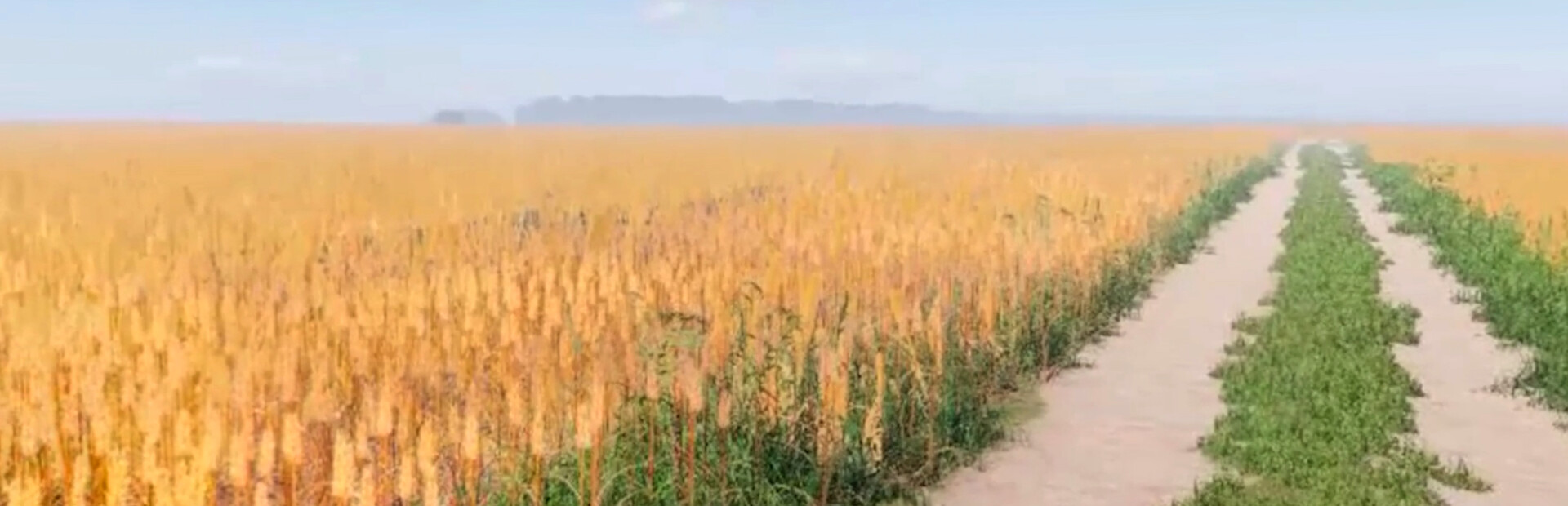 Etelä-Pohjanmaa Experience