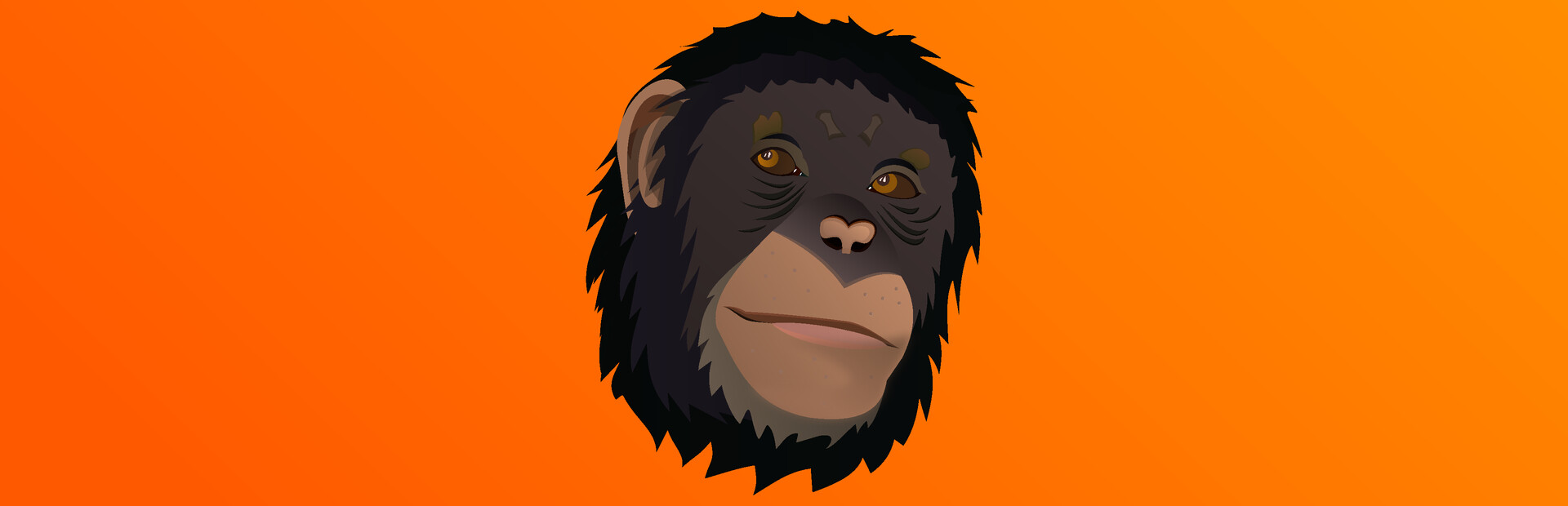 Chimp Memory