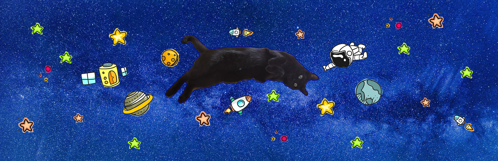 Cat On My Desktop