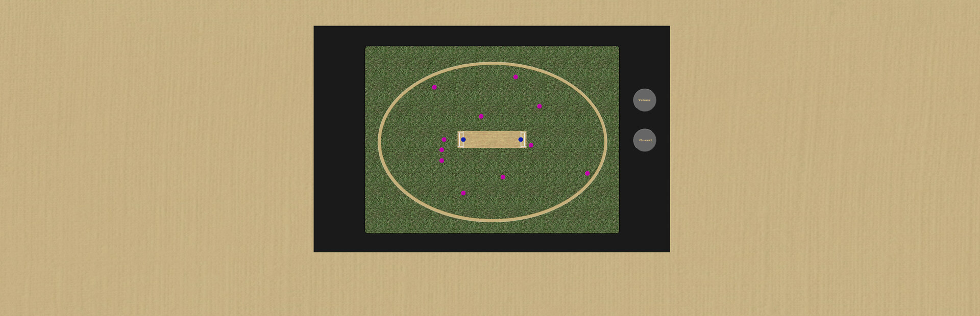 Cool Cucumber Cricket Manager