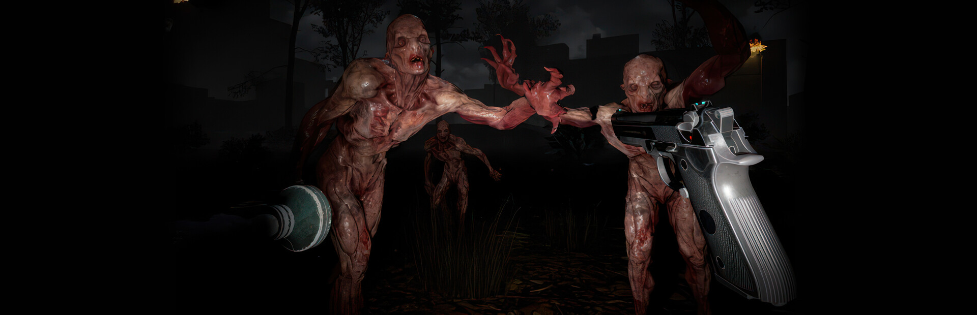 The Brookhaven Experiment