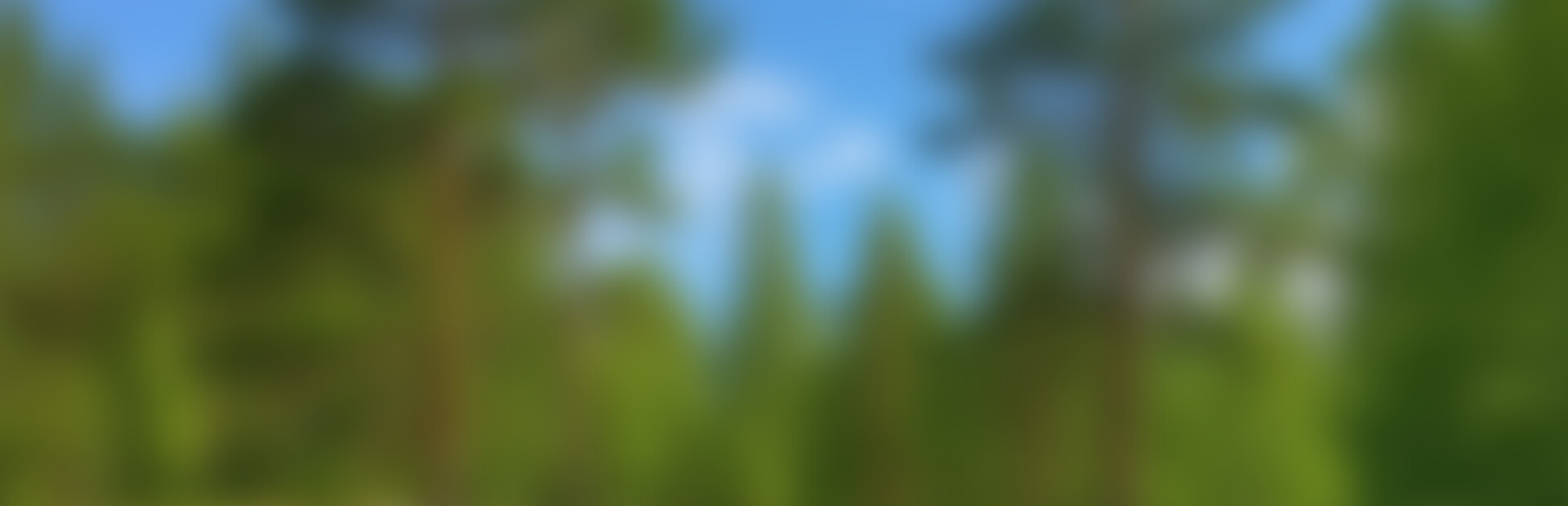 Bakery Cafe Simulator