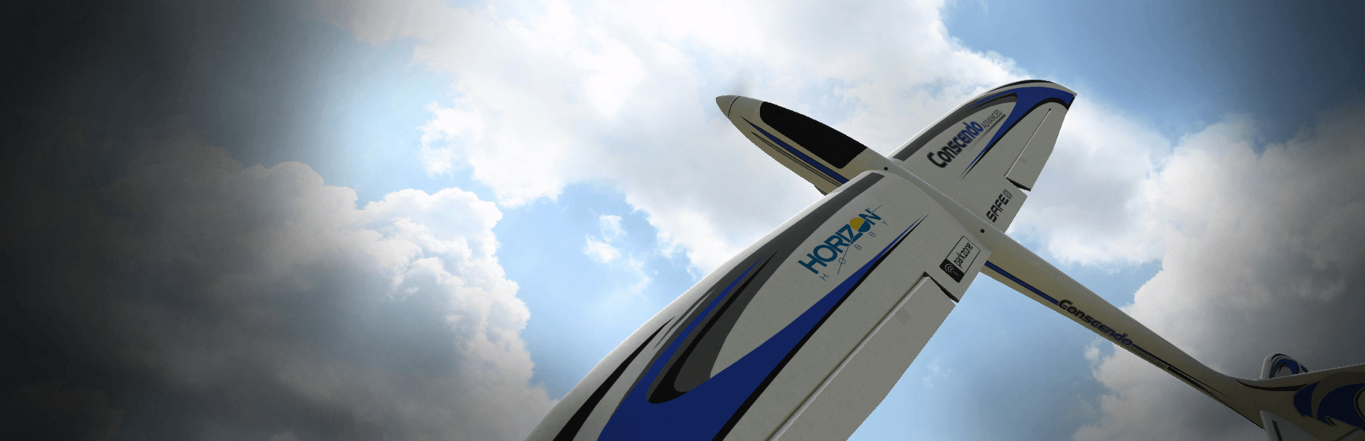 RealFlight 8