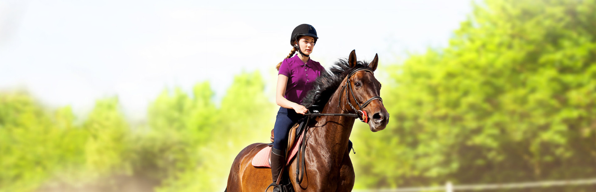 My Little Riding Champion