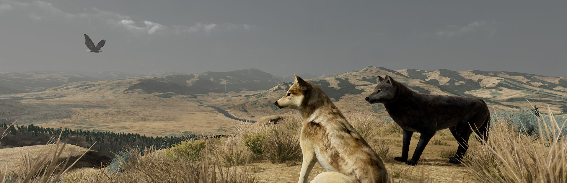 WolfQuest: Anniversary Edition