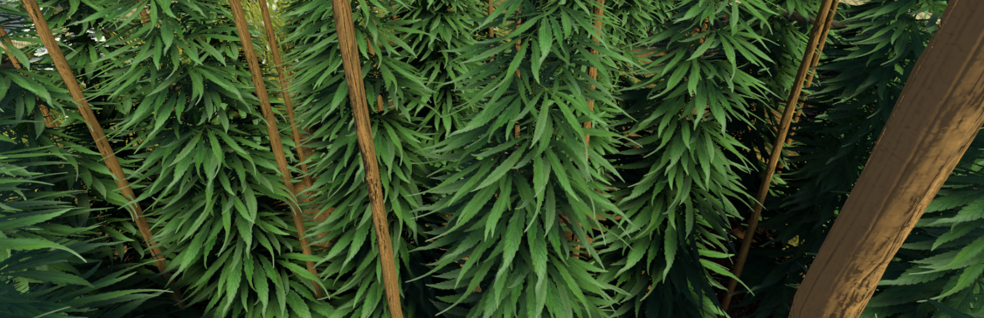 Weed Farmer Simulator