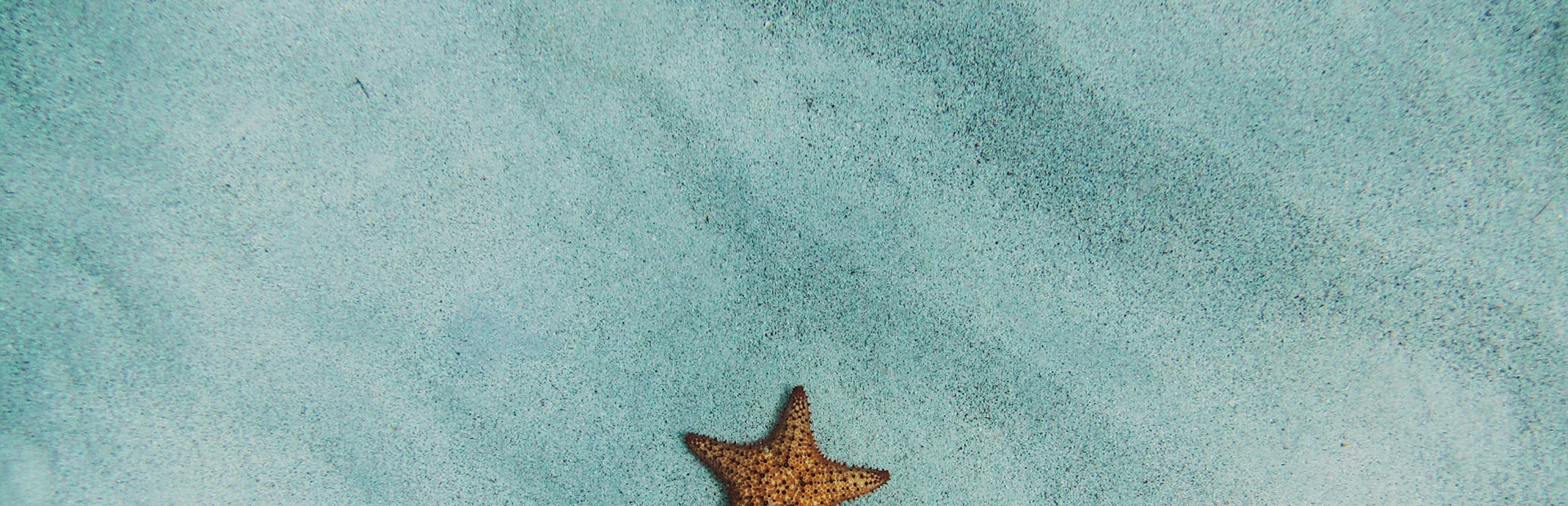 XWallpaper