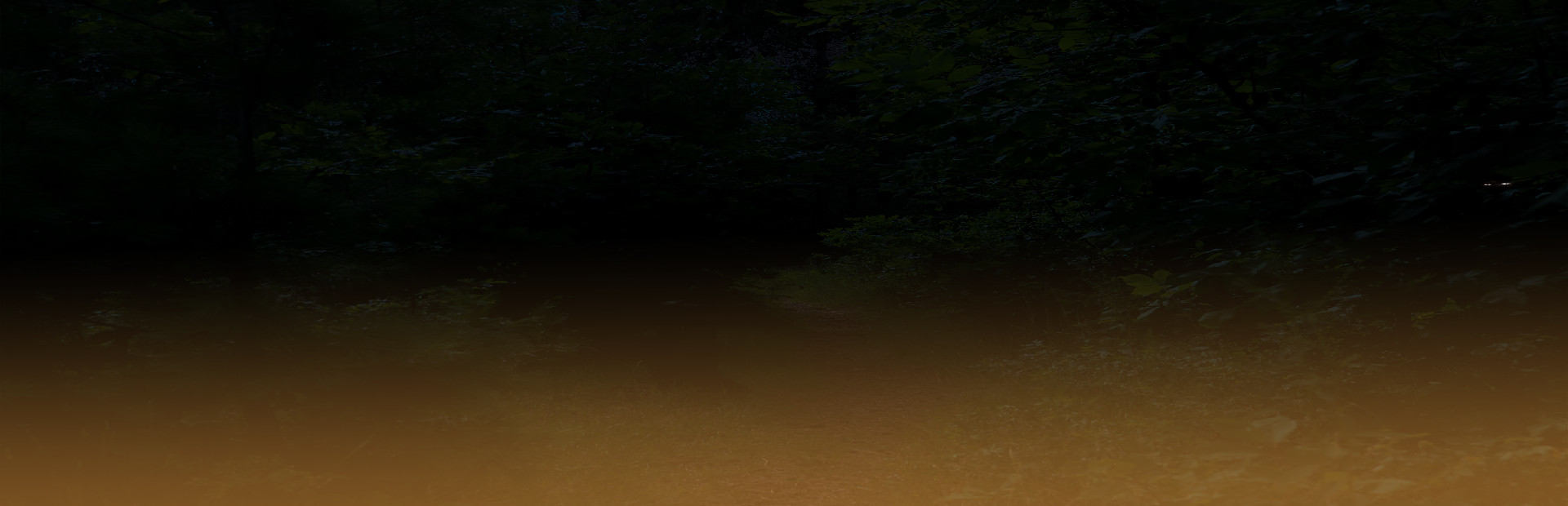A Lanterns Glow