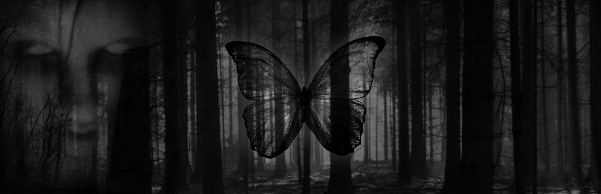 Black Butterfly