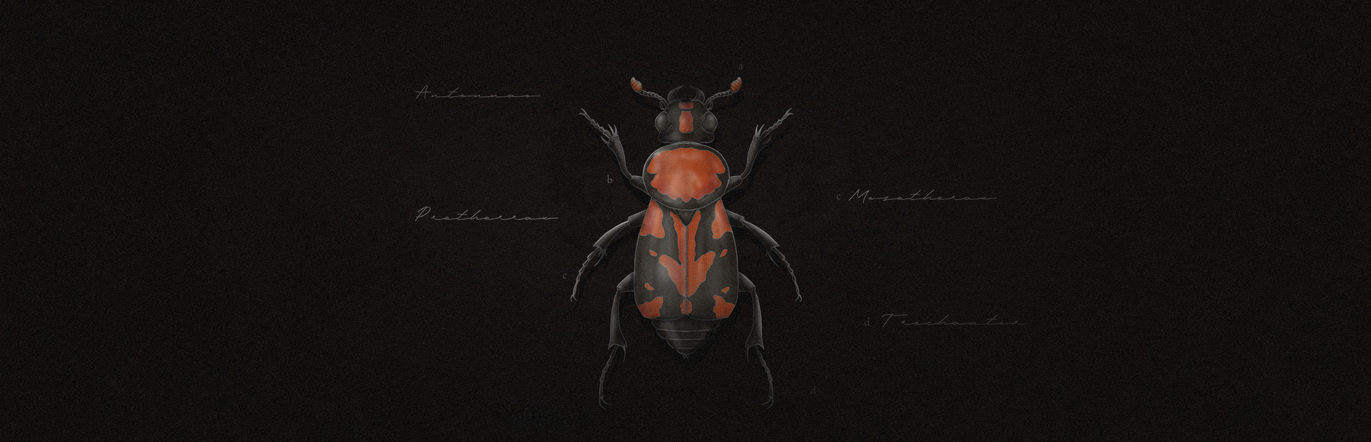 Korpus: Buried over the Black Soil