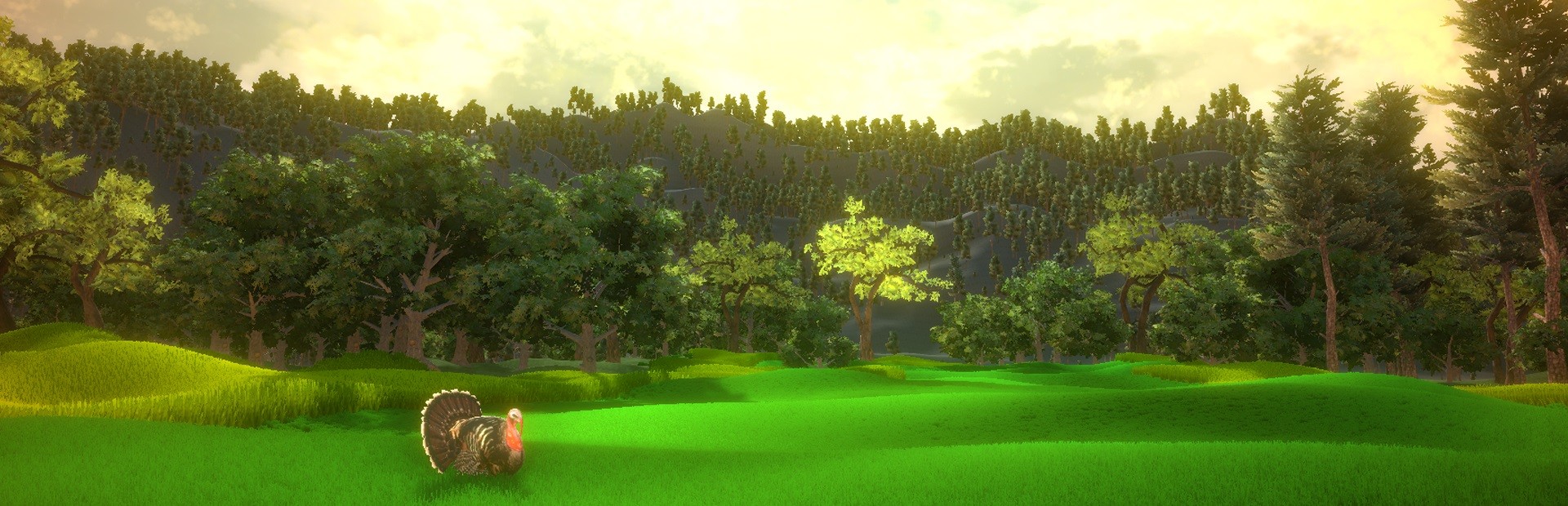 Turkey Hunting Unlimited