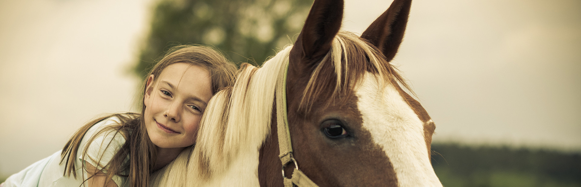 Rider's World: I Want To Ride!