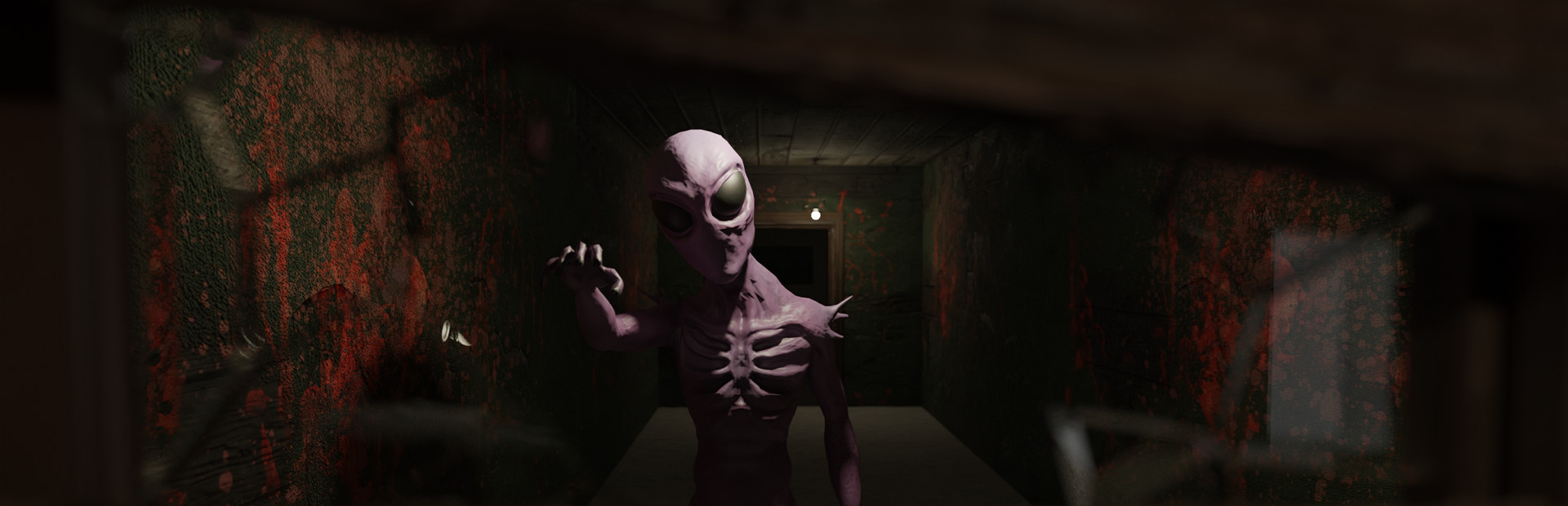 Mr. Walker's Basement