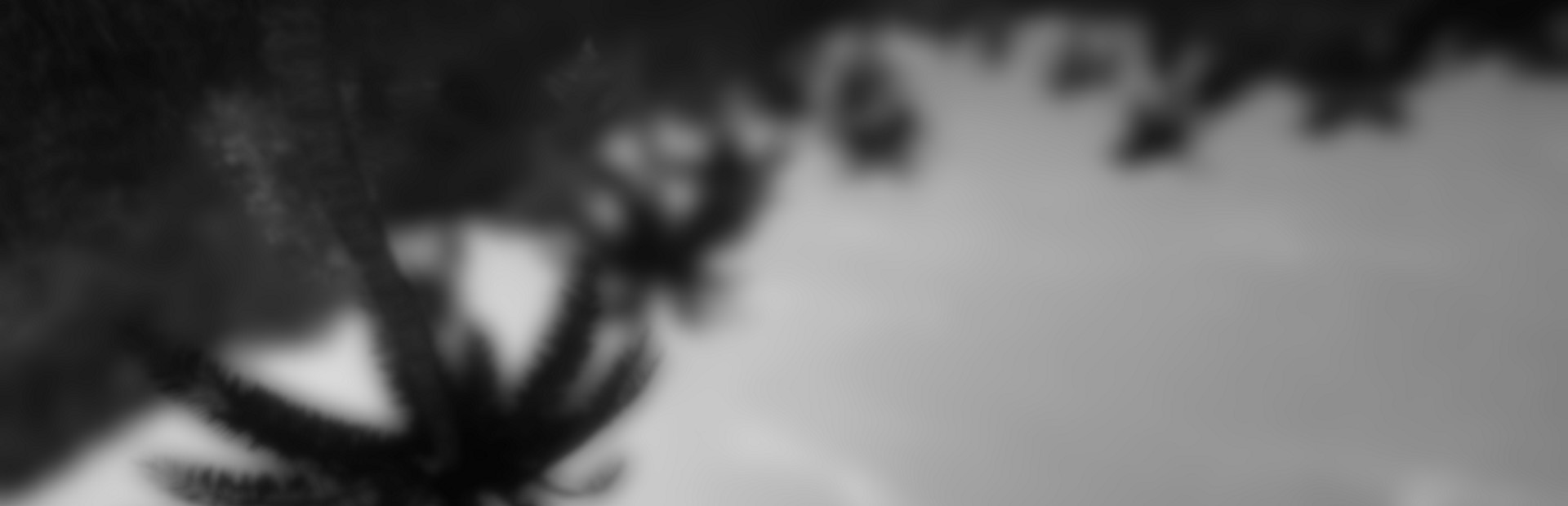 The Island of Dr. Yepstein