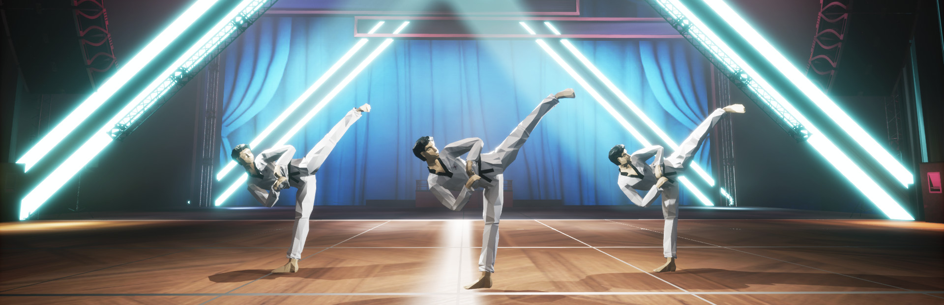 Taekwondo Demonstration Team Simulator