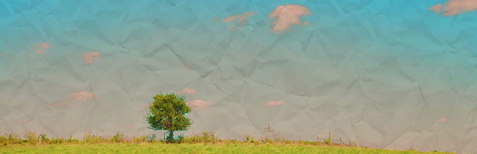 Anemoiapolis: Chapter 1