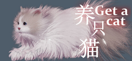 Get a cat